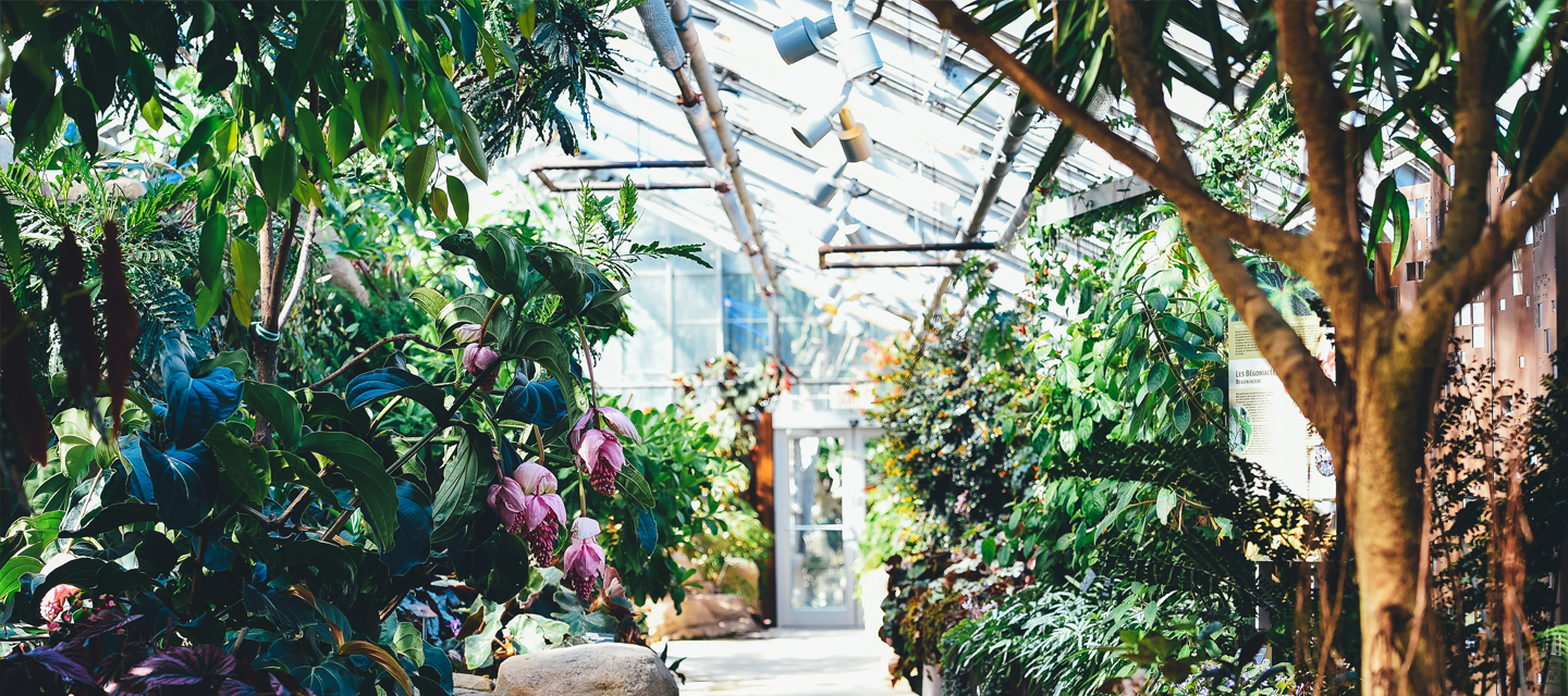 Case study image for Bents Garden and Home