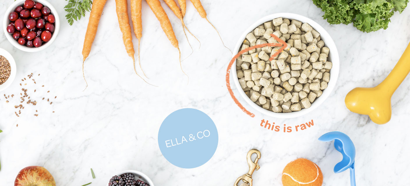 Case study image for Ella & Co