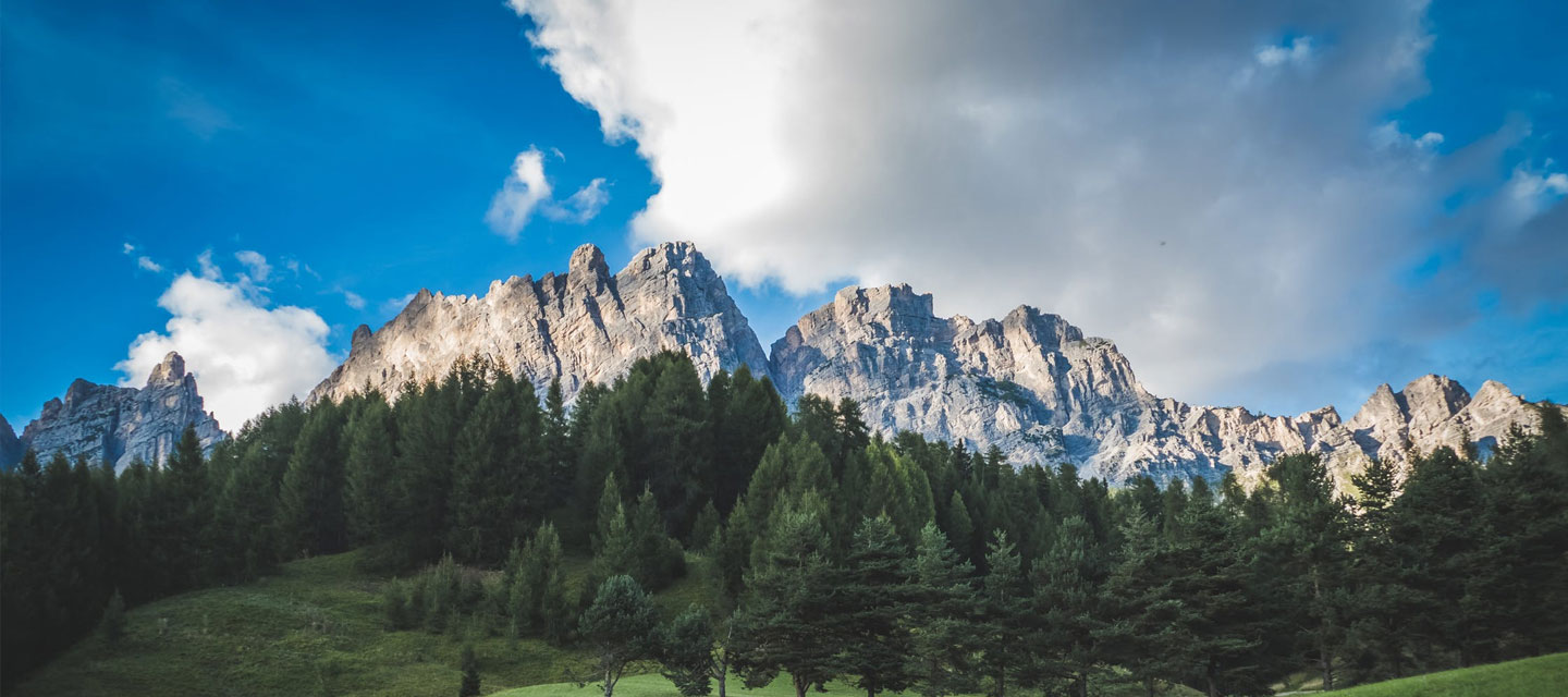Case study featured image for Italia Online