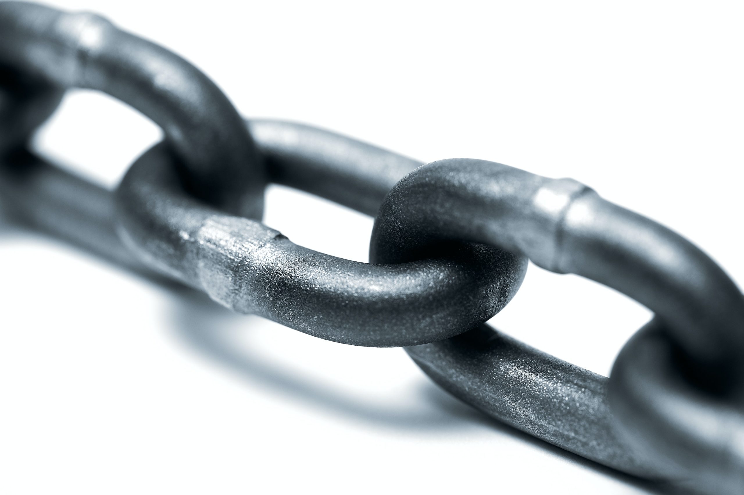 link building seo trends 2022