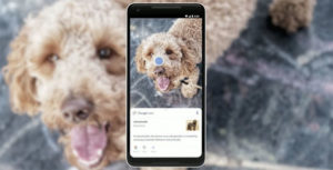 visual_search_on_google_lens