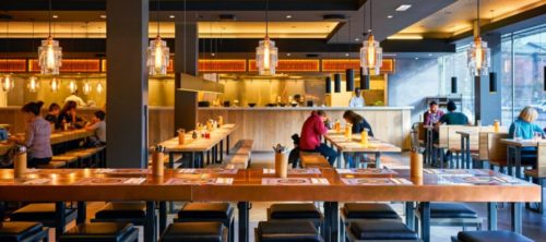 Case study featured image for Wagamama SEO