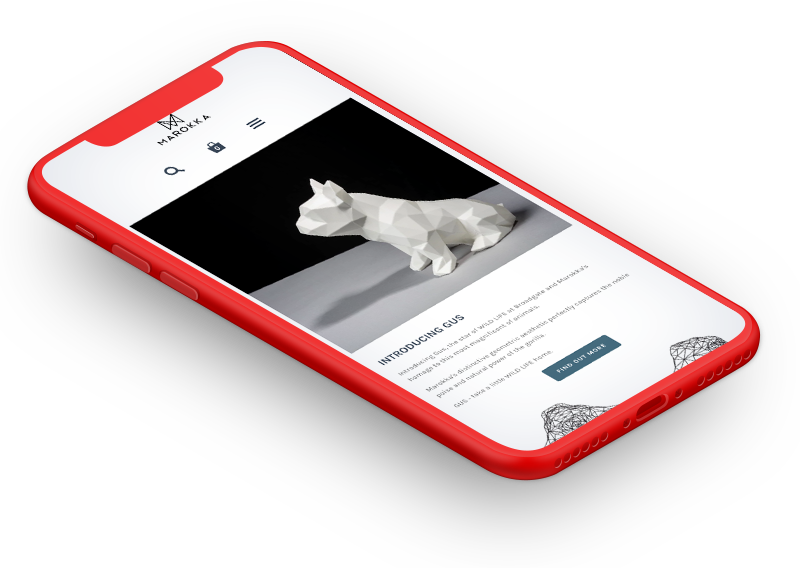 Case study image for Marokka